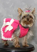 A small dog wearing a pink dress with white bow.